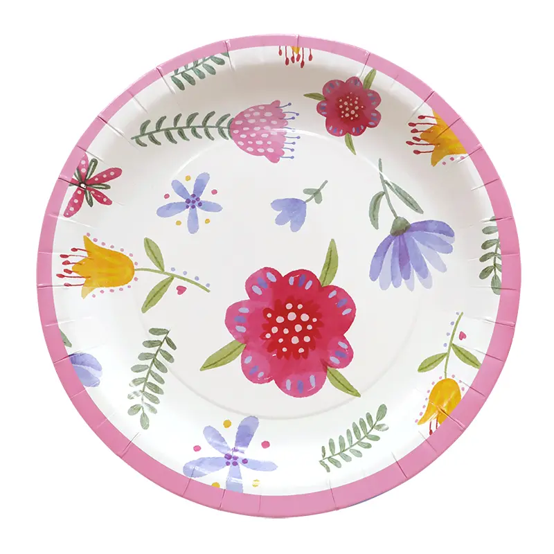 10 inch ronde papieren borden