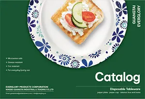 Catalogus wegwerpservies 2024-Everglory